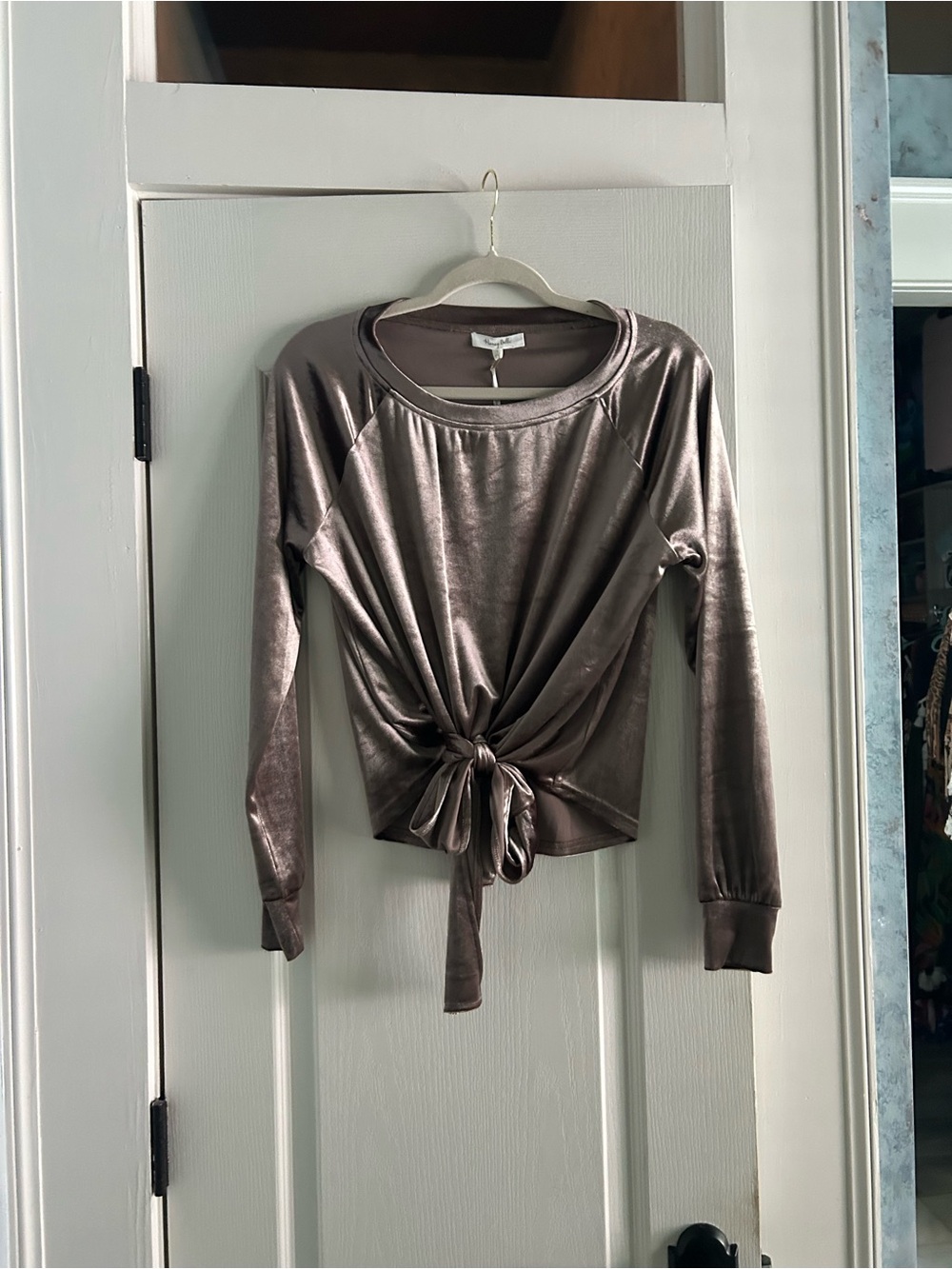 Honey Belle Metallic Taupe Velvet Tie-Front Long Sleeve Top